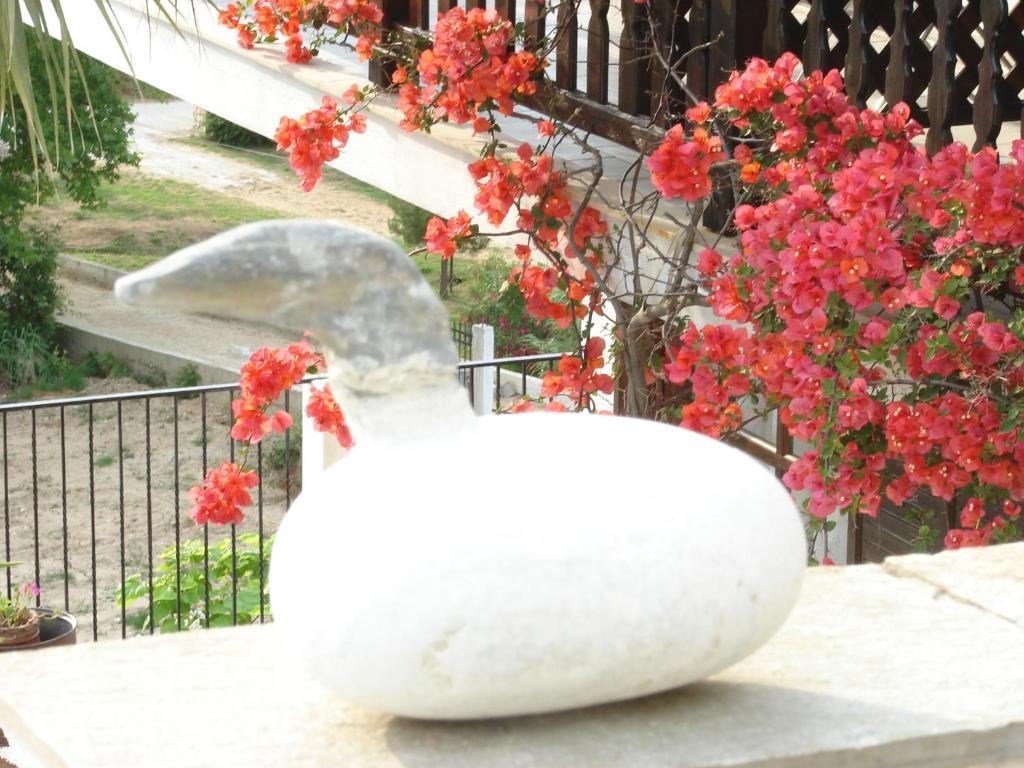 Villa Frideriki 아기아 파라스케비 외부 사진